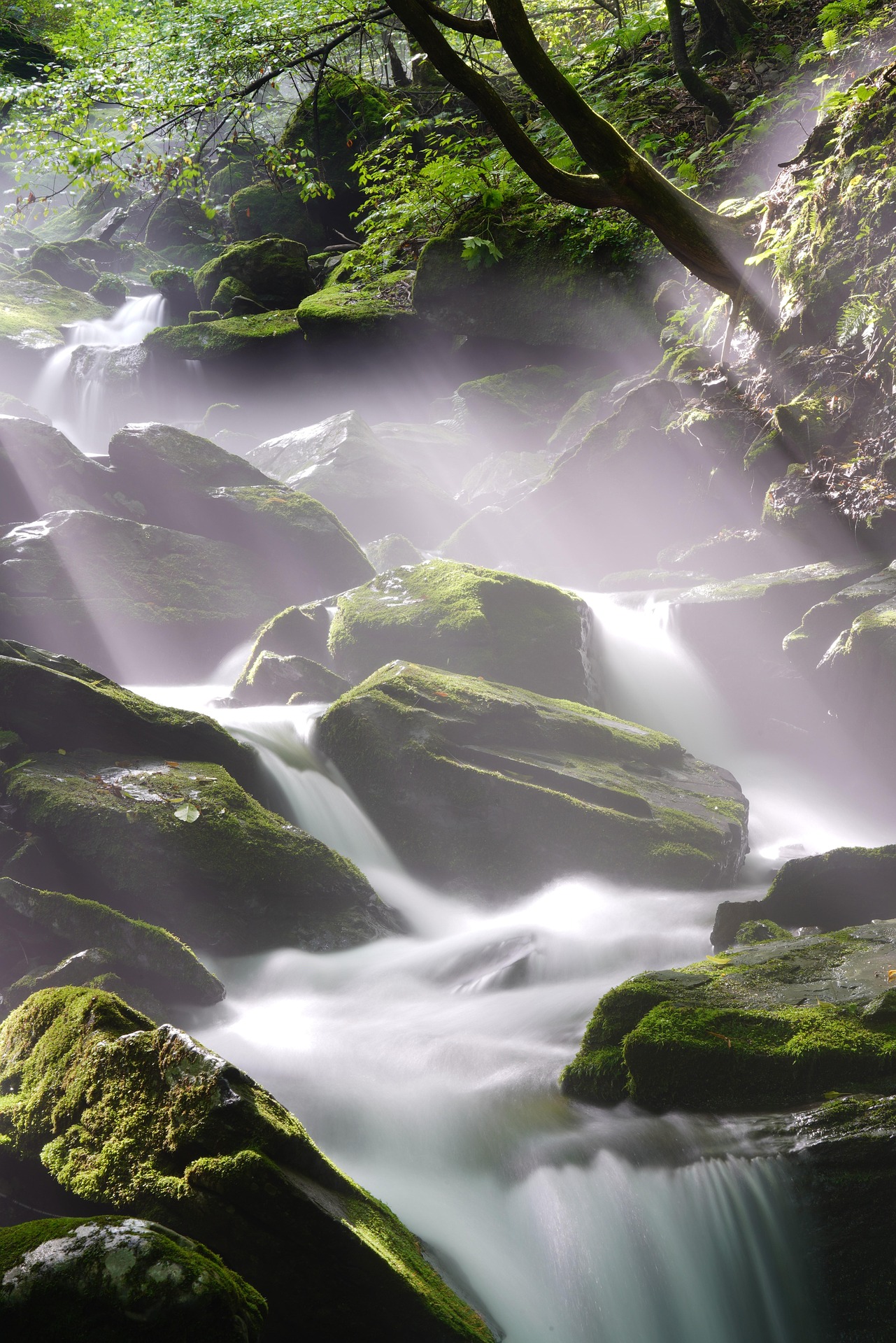 Featured image for “Comment préserver une santé de fer en prenant de l’âge grâce à une eau pleine de vitalité ?”